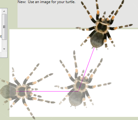 _images/Tess_is_spider.png